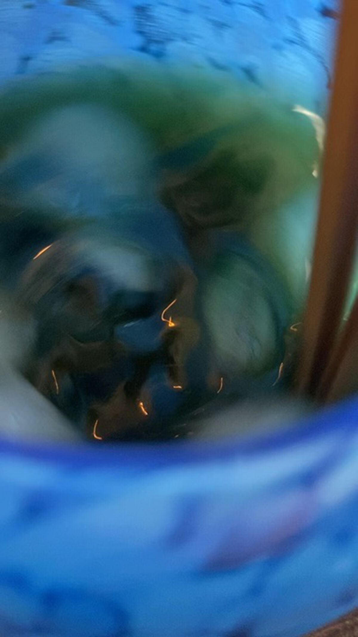 ベジパワープラス/ダイエットドリンク/ドリンクを使ったクチコミ（1枚目）