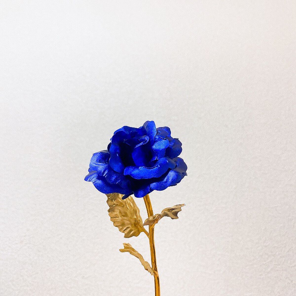 シックローズ/キャンドゥ/その他の動画クチコミ4つ目