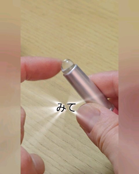 フィー フィンガーライク リップブラシ/fwee/メイクブラシの動画クチコミ2つ目