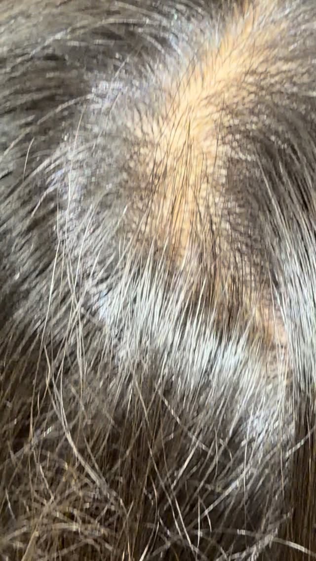 グレイシア エアージュエルボリュームアップミスト/ジュエル・コスメティックス/ヘアミストを使ったクチコミ（1枚目）