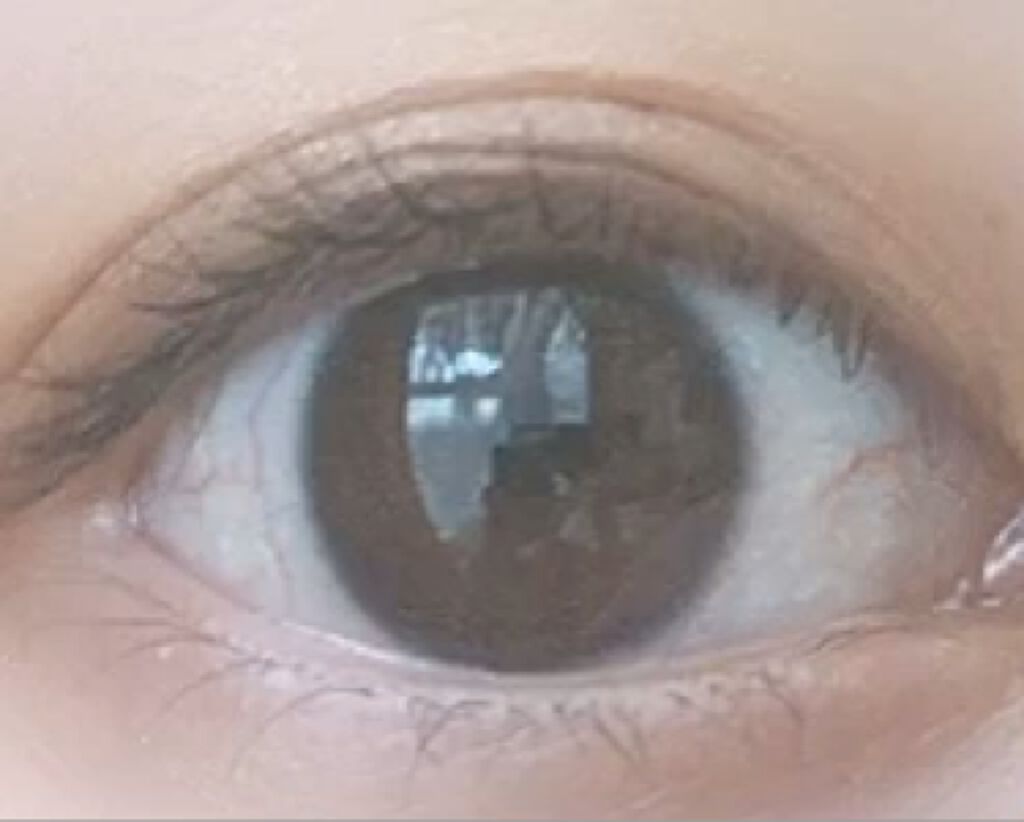 スキニーリッチシャドウ/excel/アイシャドウパレットを使ったクチコミ（2枚目）