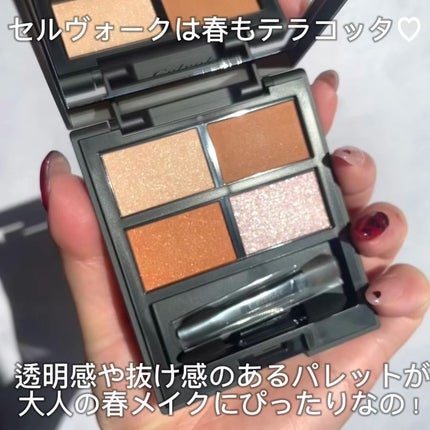 セルヴォーク ヴァティック アイパレット/Celvoke/アイシャドウパレットを使ったクチコミ(2枚目)