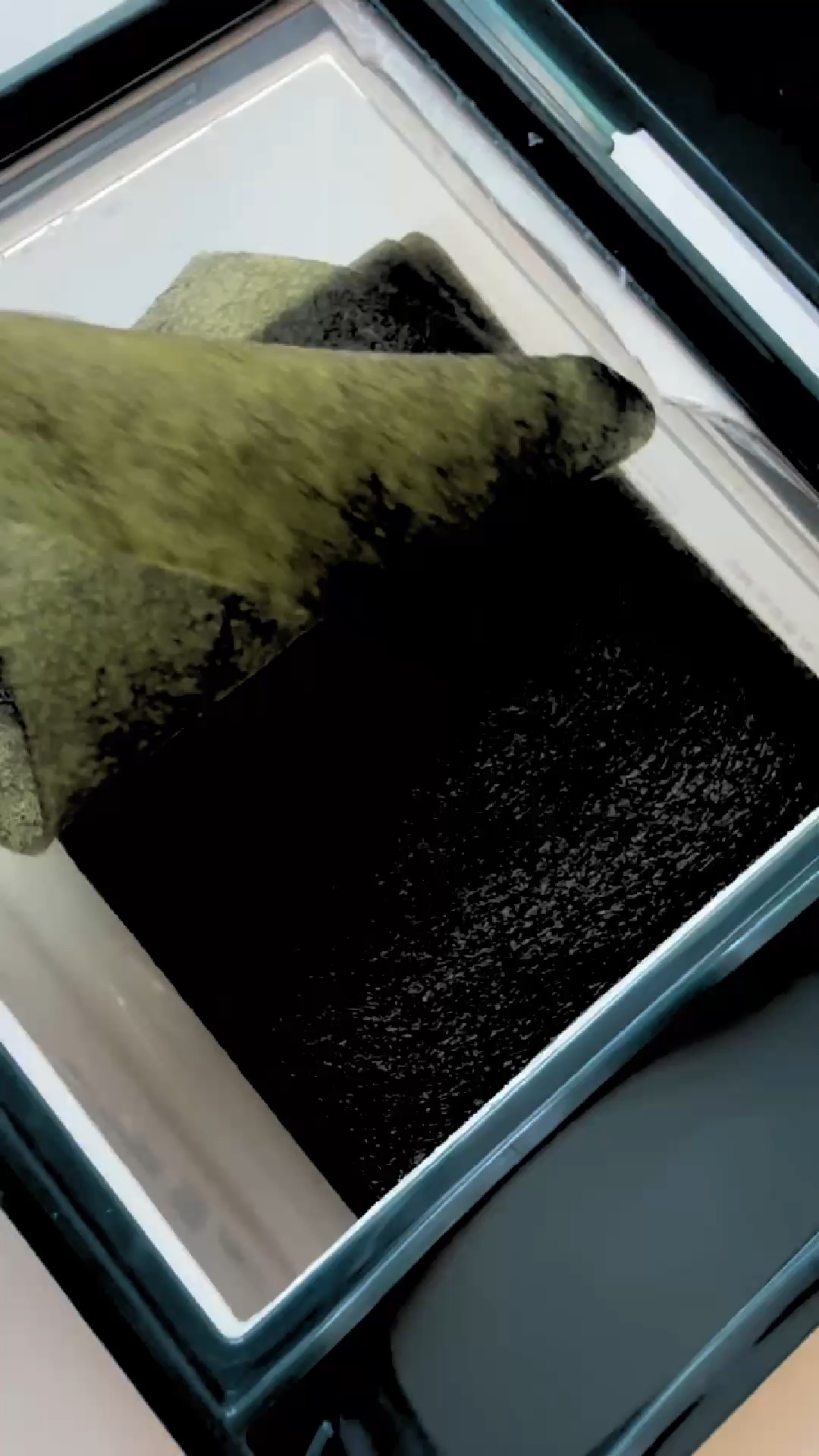 



まるで韓国海苔？？

家族になんで海苔貼ってるの？って聞かれたこの商品🤣🤣🤣

@isntree_jp
isntreeから新発売🌟

海苔PDRNブースティンググローパッド！！

韓国海苔のような2in1パッド✴️
海の深い