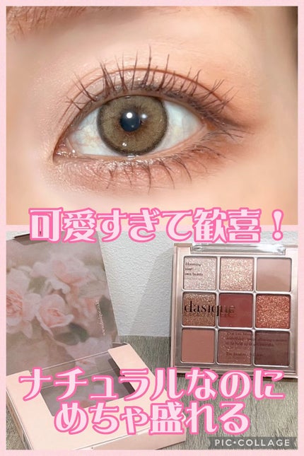 シャドウパレット/dasique/アイシャドウパレットの人気ショート動画