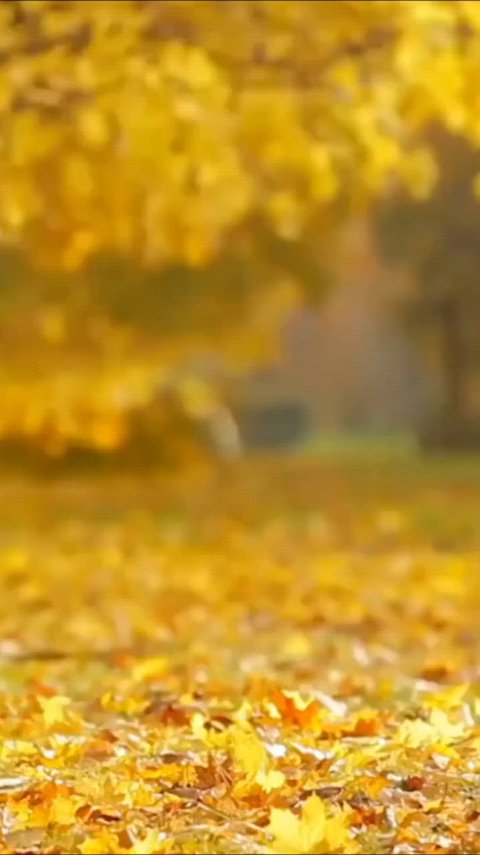 PDRNヒアルロン酸カプセル100セラム/Anua/美容液を使ったクチコミ（1枚目）