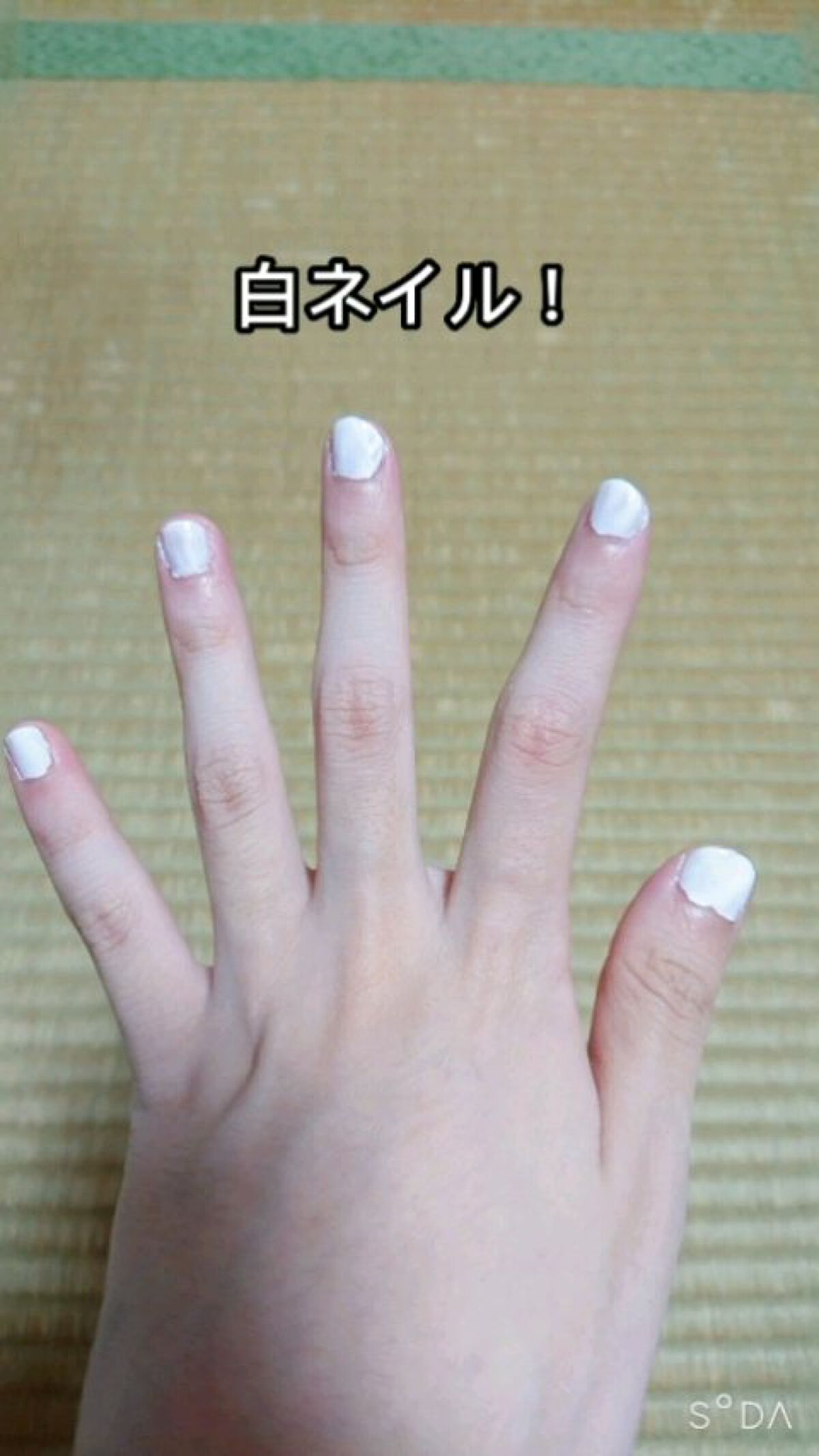 pa ネイルカラー/pa nail collective/マニキュアの動画クチコミ1つ目