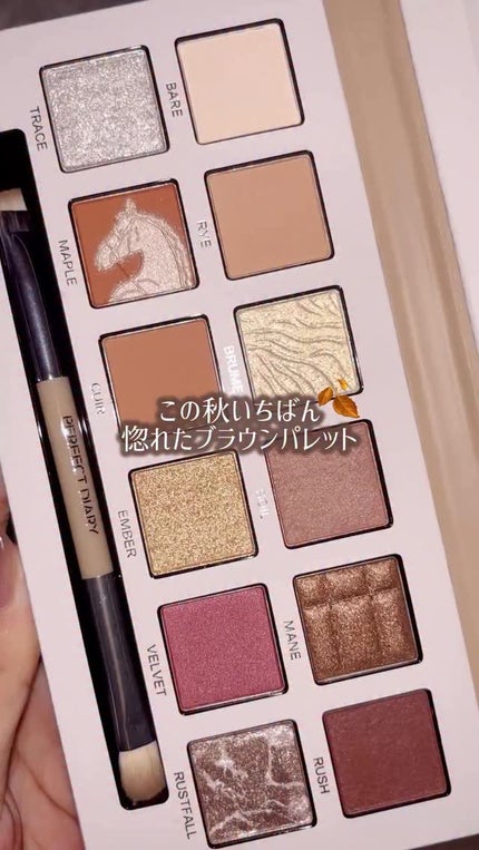 エクスプローラ12色 動物アイシャドウパレット/PERFECT DIARY/アイシャドウパレットの人気ショート動画