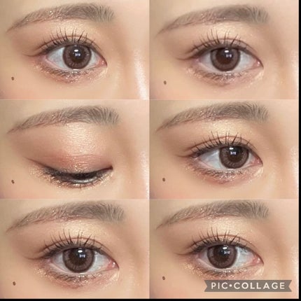 butterfly 6 colors Eye Shadow/gecomo/アイシャドウパレットを使ったクチコミ(3枚目)