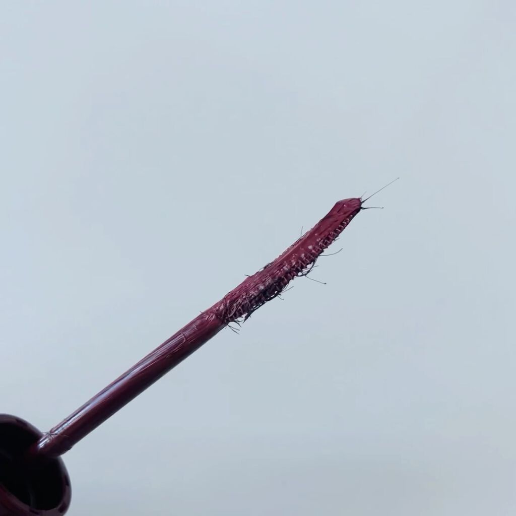 ラッシュエキスパンダー ロングロングロング EX RD505 カシスバーガンディー そよそよ/MAJOLICA MAJORCA/マスカラを使ったクチコミ（3枚目）