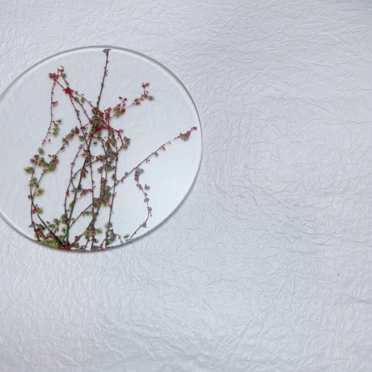 描くふたえアイライナー/CEZANNE/リキッドアイライナーを使ったクチコミ（2枚目）