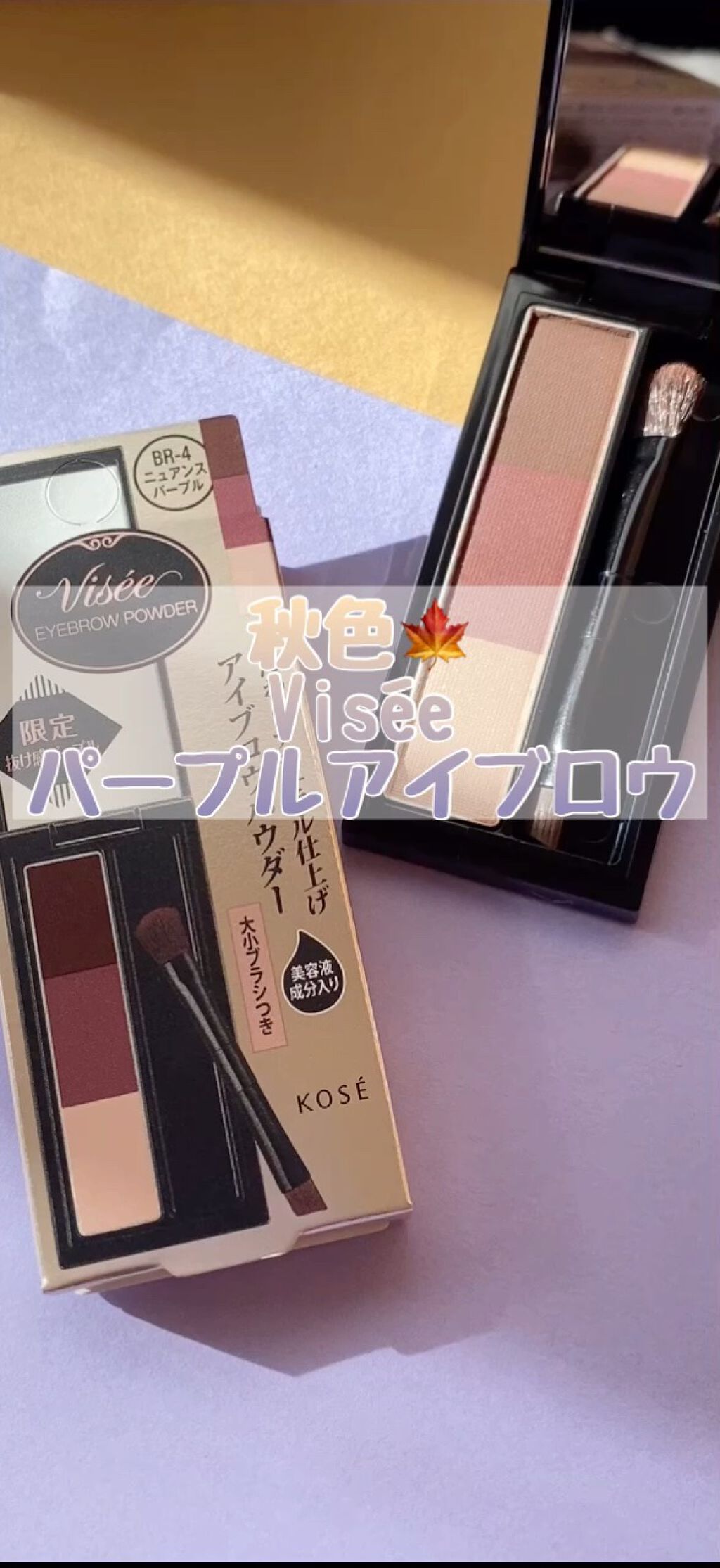 ヴィセ リシェ アイブロウパウダー/Visée/パウダーアイブロウの人気ショート動画