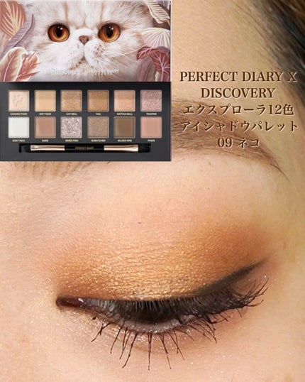 エクスプローラ12色 動物アイシャドウパレット/PERFECT DIARY/アイシャドウパレットの人気ショート動画
