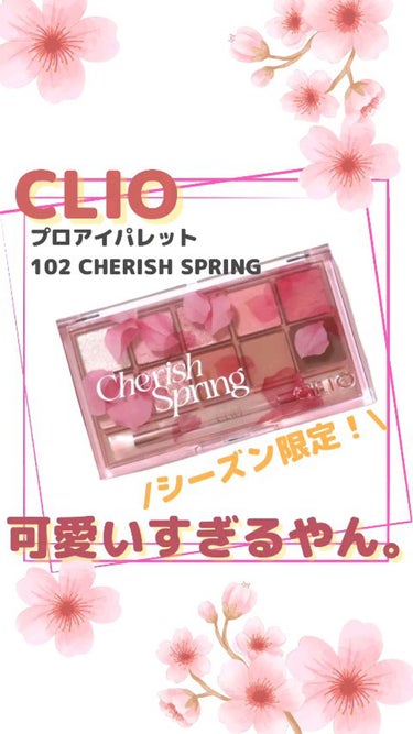 プロ アイ パレット/CLIO/アイシャドウパレットを使ったクチコミ（1枚目）