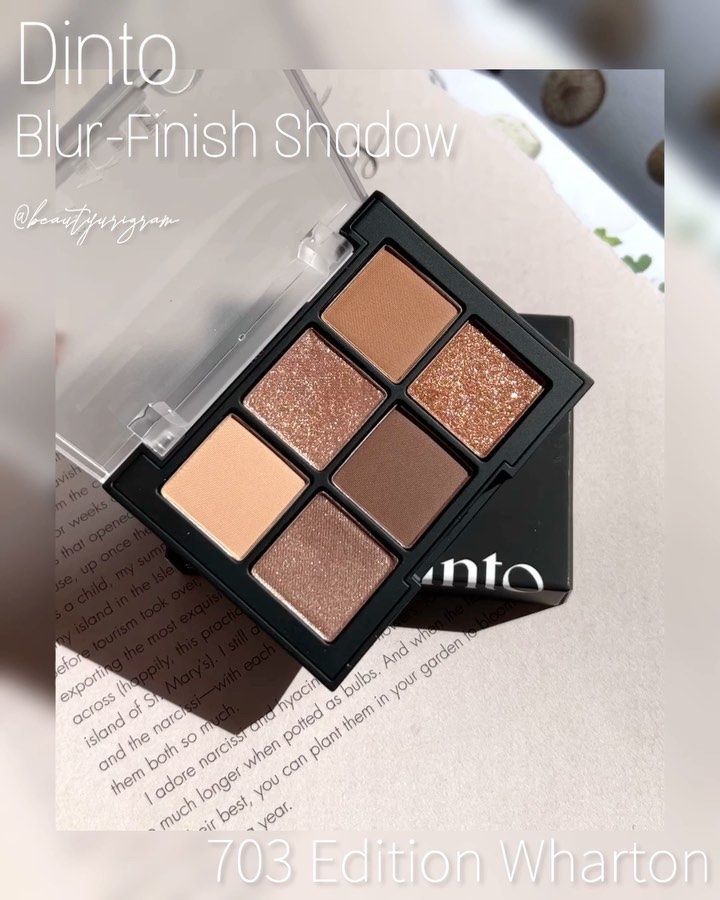 ブラーフィニシュシャドウパレット/Dinto/アイシャドウパレットを使ったクチコミ（3枚目）