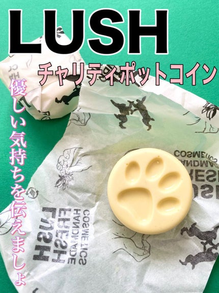 チャリティポット コイン/ラッシュ/ボディローションの人気ショート動画