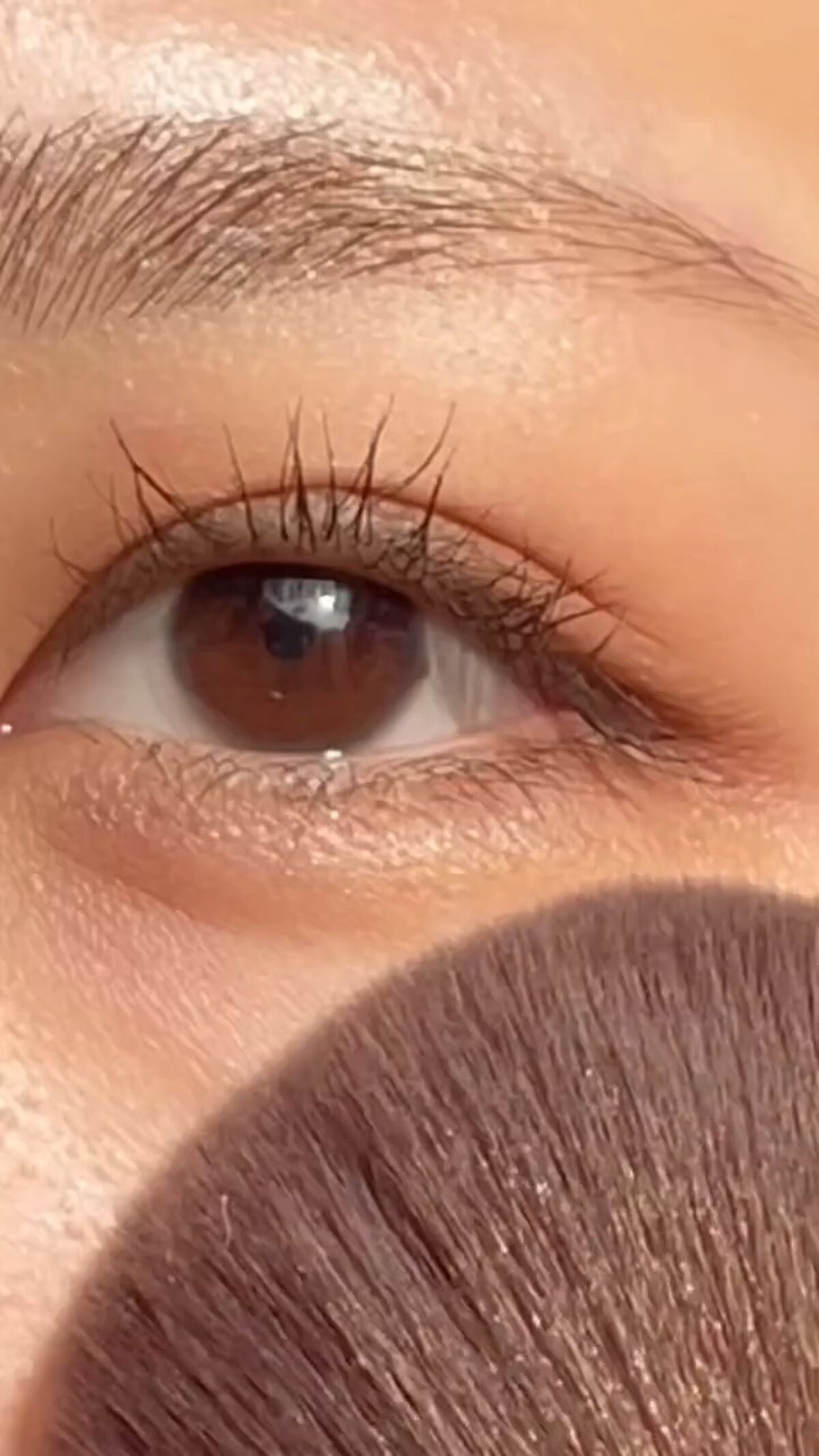 ベターザンパレット/rom&nd/アイシャドウパレットを使ったクチコミ（1枚目）