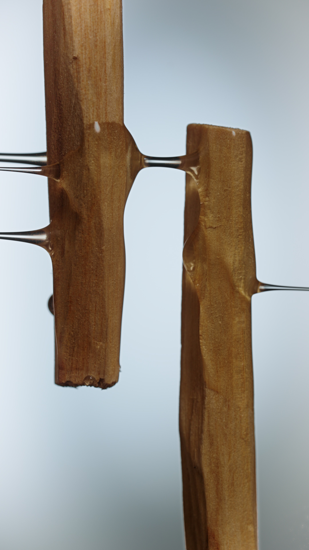 9月1日 新発売
「BOTANIST SANTAL(サンタル) 」🪵

濃香オイルが髪の一本一本を包み込み
芯まで補修しながら、ツヤやかにまとまる。​

濃香オイルで浸る時間。
ぜひご体験ください🛁

新ライン「BOTANIST SAN