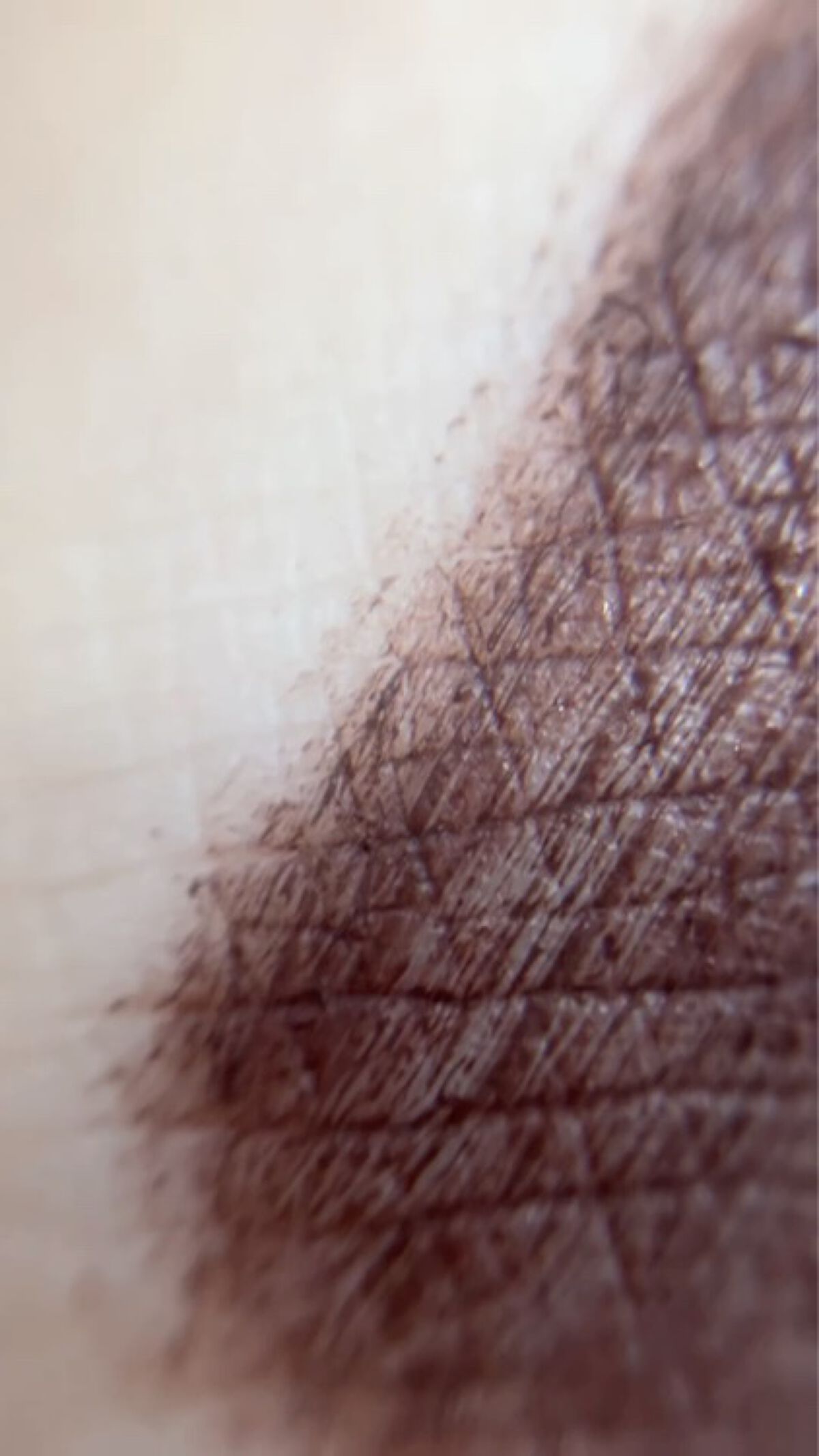 パーフェクトエクステンション マスカラ for カール/D-UP/マスカラを使ったクチコミ（3枚目）