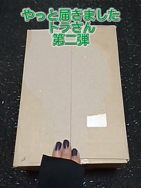 プロシカ センテラアジアチカ タイガーアンプルマスク/VT/シートマスク・パックを使ったクチコミ（1枚目）