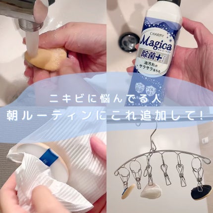 チャーミー Magica(マジカ)/ライオン/その他の人気ショート動画