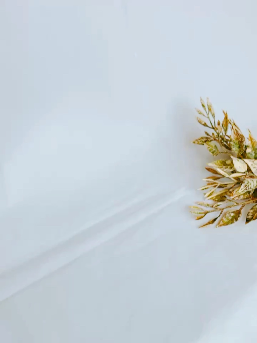 24i seram/24Aqua beauty/まつげ美容液の動画クチコミ1つ目