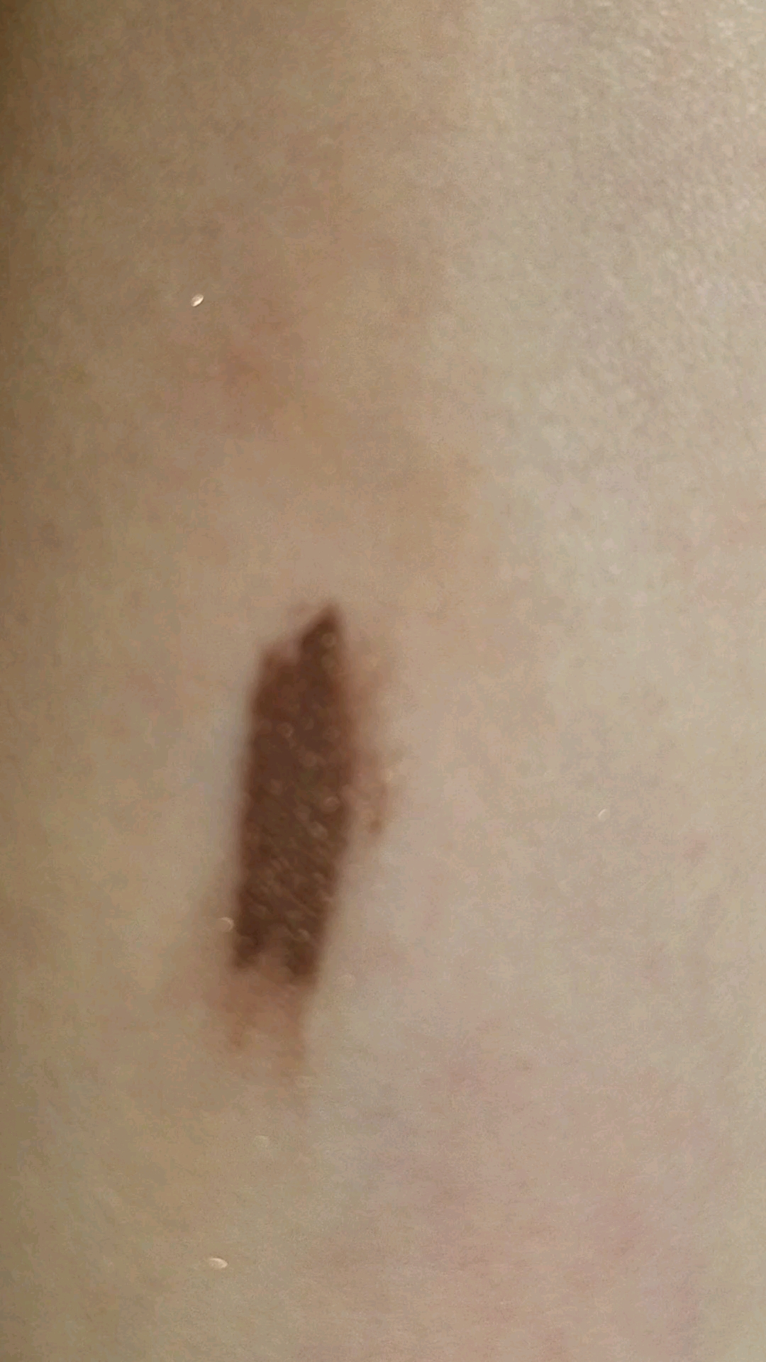 ニュアンスアイブローマスカラ/インテグレート/眉マスカラを使ったクチコミ（2枚目）