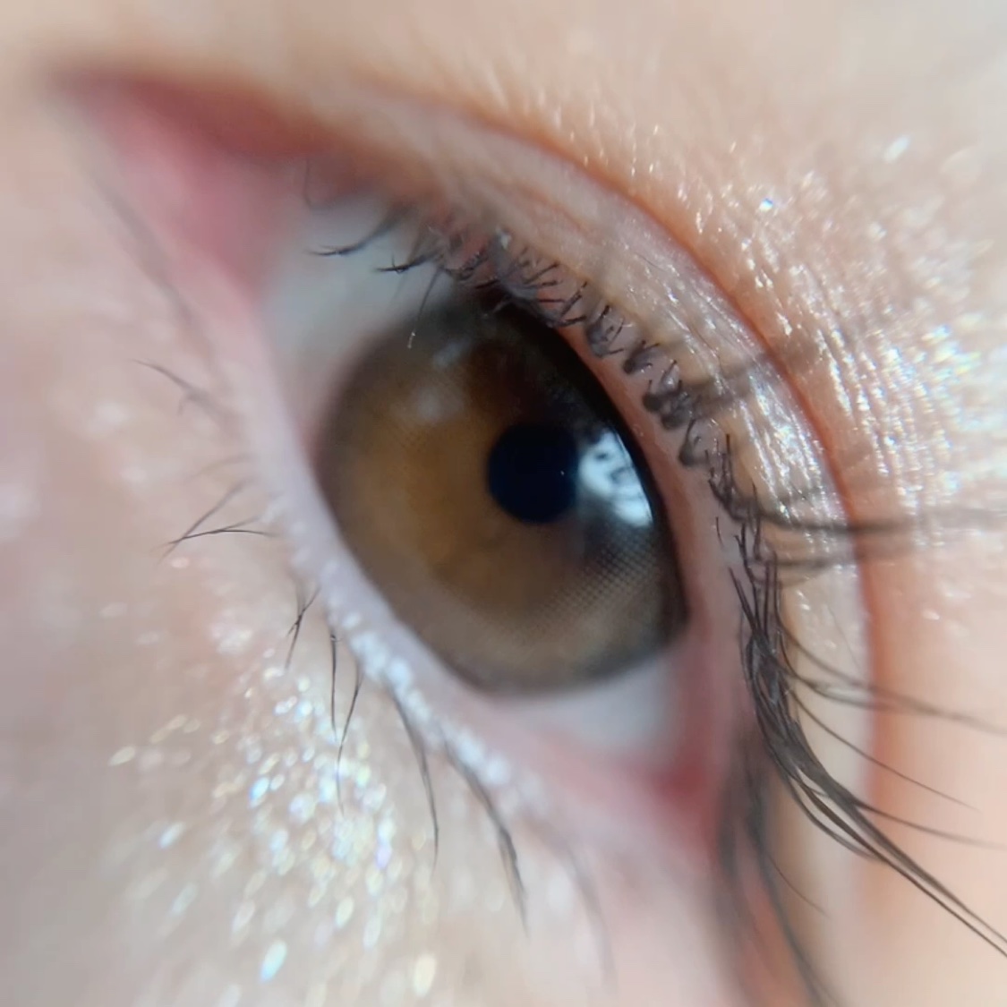 Glowy Natural 1Day/OLENS/カラーコンタクトレンズの動画クチコミ1つ目