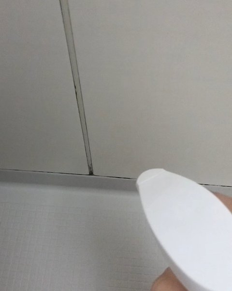 Mol clear Pro/ホコニコ/その他を使ったクチコミ（3枚目）