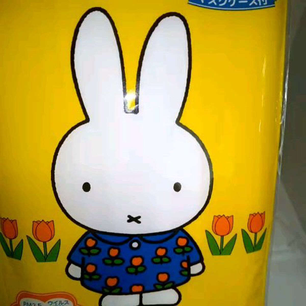 miffy不織布プリーツマスク/日本マスク®/マスクを使ったクチコミ（1枚目）