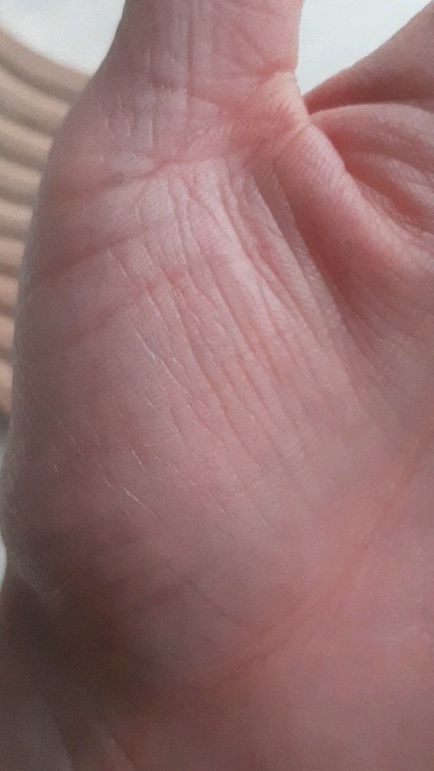 ペタルドロップリキッドブラッシャー/DEAR DAHLIA/リキッドチークを使ったクチコミ（3枚目）