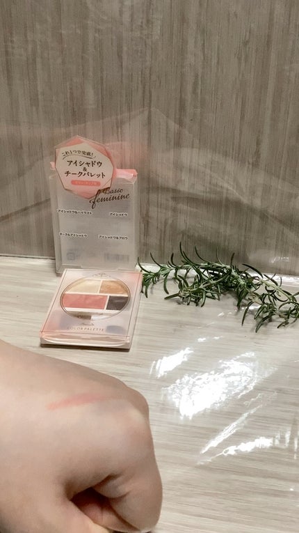 カラーパレット/パラドゥ/マルチパレットの人気ショート動画