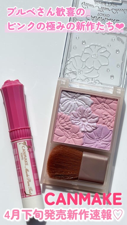 むちぷるティント/キャンメイク/リップティントの人気ショート動画