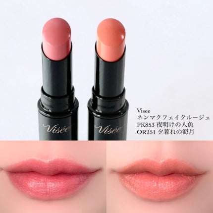 ネンマクフェイク ルージュ/Visée/口紅の人気ショート動画