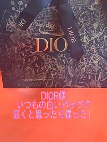 ディオール バックステージ アイ パレット/Dior/パウダーアイシャドウを使ったクチコミ（1枚目）