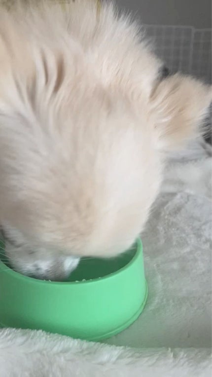 レ キャトル オンブル ツイード/CHANEL/アイシャドウパレットを使ったクチコミ(9枚目)