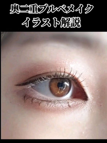 グロッシーリッチ アイズ N/Visée/アイシャドウパレットの人気ショート動画