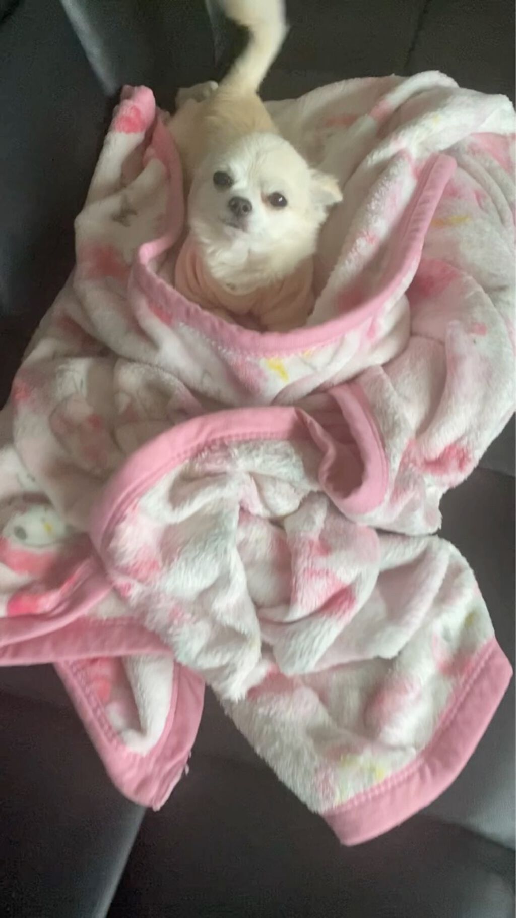 ランテルディ ヘア ミスト/GIVENCHY/ヘアミストを使ったクチコミ（3枚目）