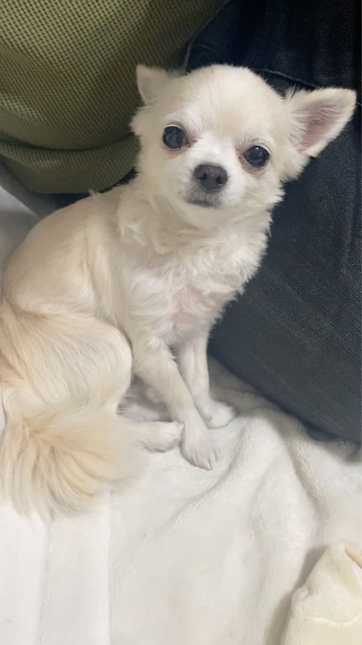 ディオールスキン フォーエヴァー メイクアップ フィックス ミスト/Dior/化粧下地を使ったクチコミ（3枚目）