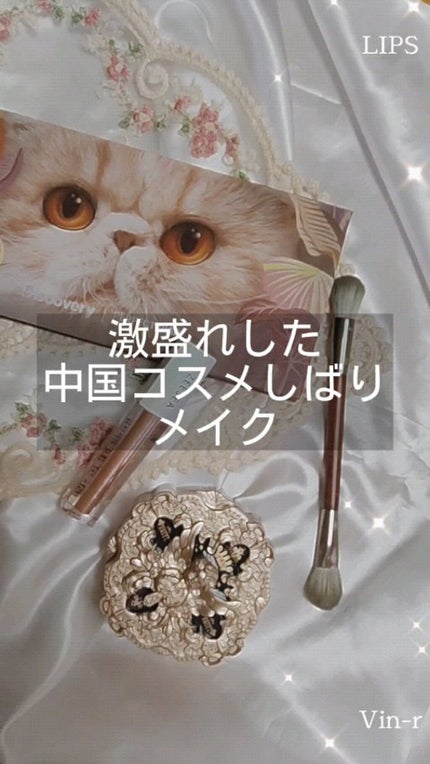 ダイヤモンドシリーズ 星空リキッドアイシャドウ/ZEESEA/リキッドアイシャドウの人気ショート動画