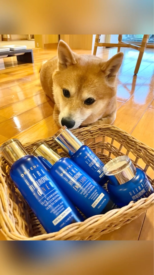 ULTRA HYALURONIC CREAM/ORJENA/フェイスクリームの動画クチコミ1つ目