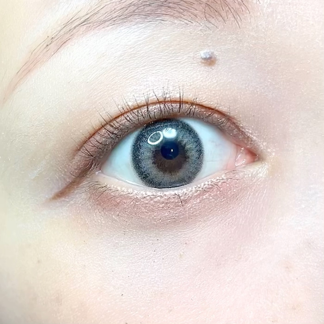 エレガンス ラズル スターアイカラー/エレガンス ラズル /単色アイシャドウを使ったクチコミ（3枚目）