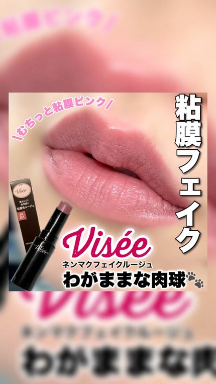 ネンマクフェイク ルージュ/Visée/口紅の人気ショート動画