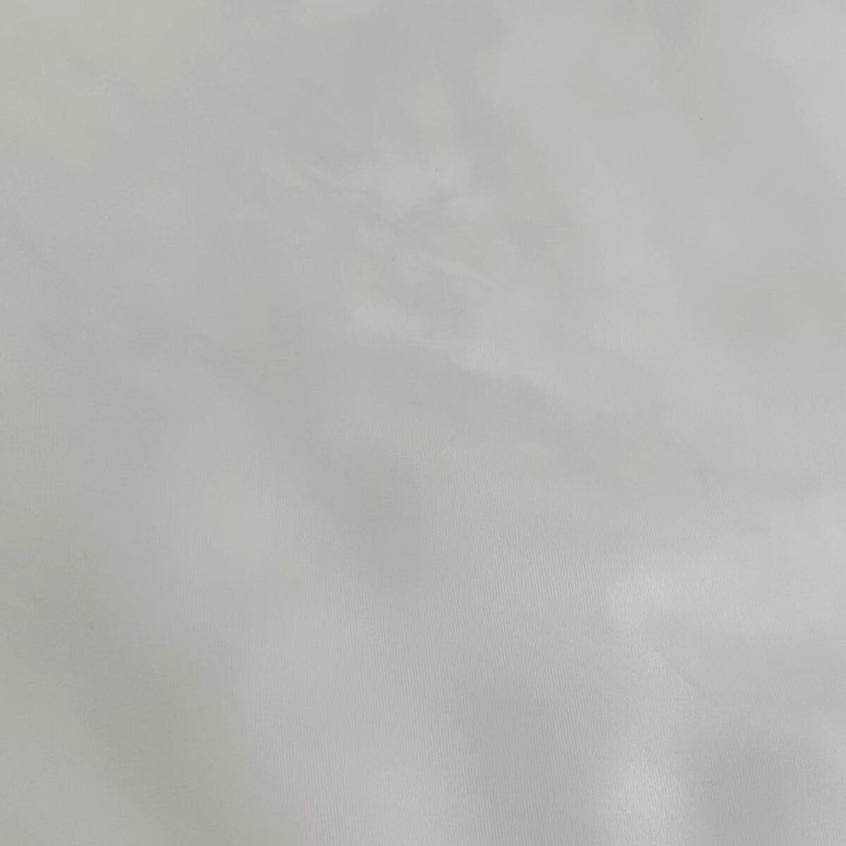 フレグランスアルコールスプレー/ロジェ・ロジェ/その他を使ったクチコミ（2枚目）