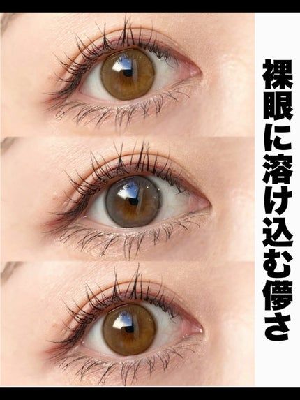 ShineTouch 1day/OLENS/ワンデー(1DAY)カラコンの人気ショート動画