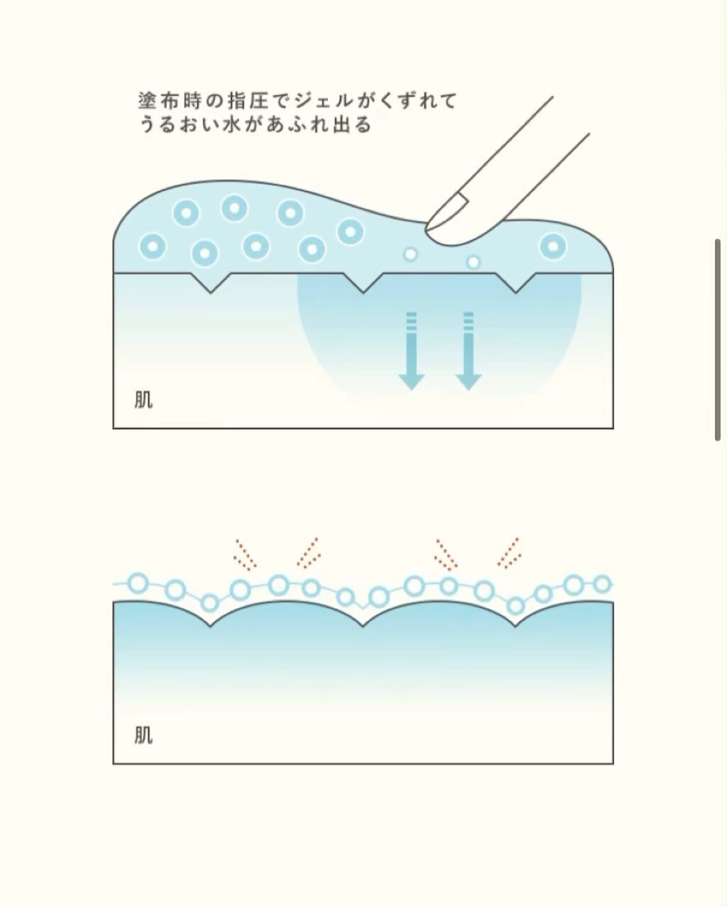 を使ったクチコミ（2枚目）