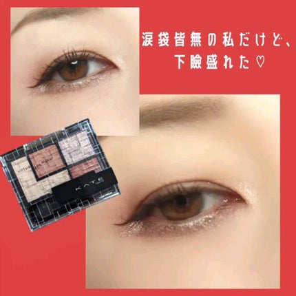 バーチャルアイズメイカー/KATE/アイシャドウパレットを使ったクチコミ(4枚目)