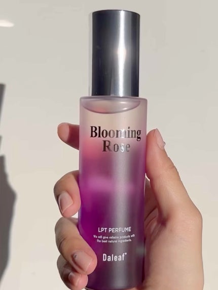 LPT Perfume Polish Oil Blooming Rose/Daleaf/その他スタイリングの人気ショート動画