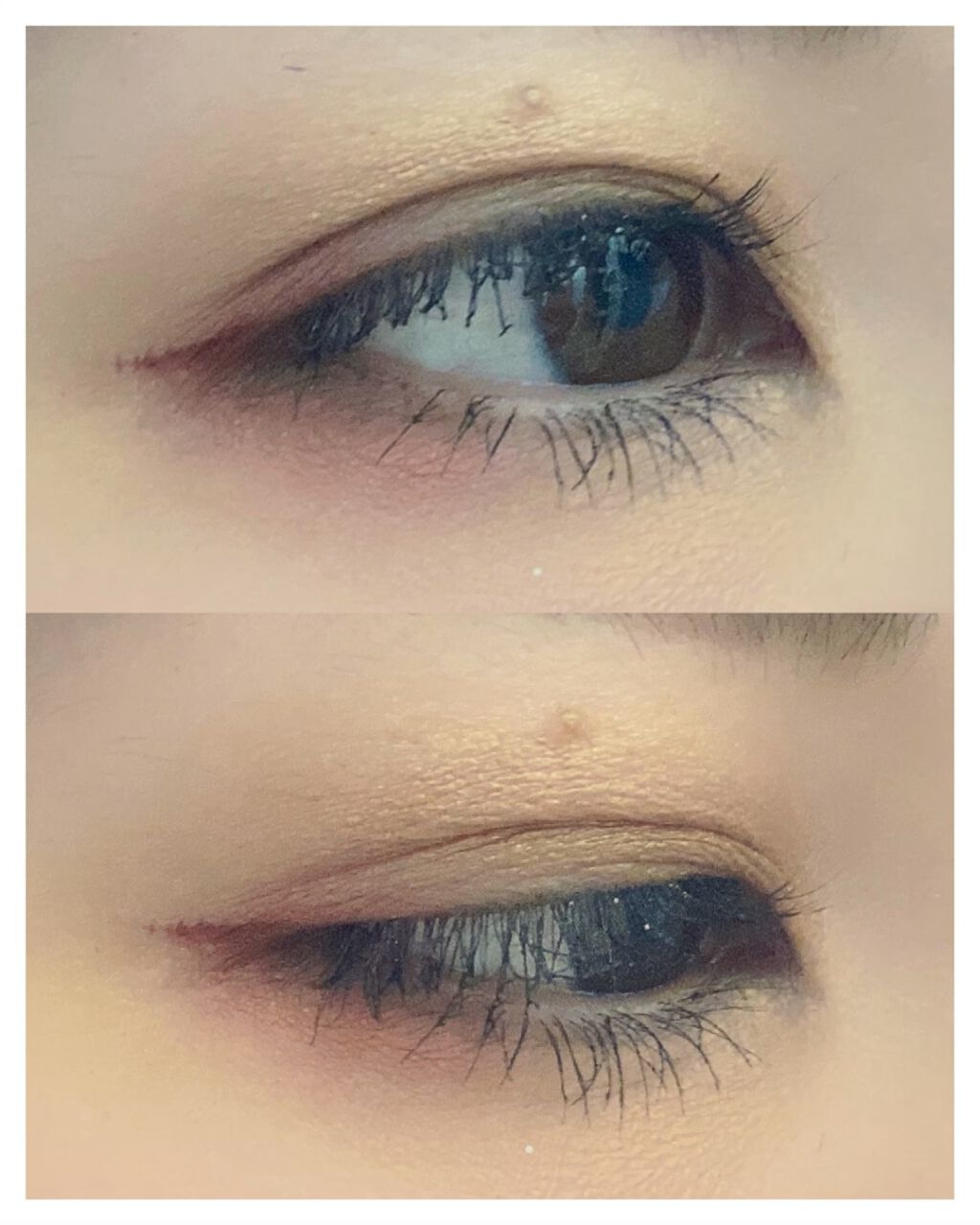 シェーズオブワンダーランドアイシャドウ ＆チークパレット/Ready to Shine/アイシャドウパレットの動画クチコミ1つ目