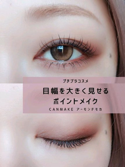 パーフェクトマルチアイズ/キャンメイク/アイシャドウパレットの人気ショート動画