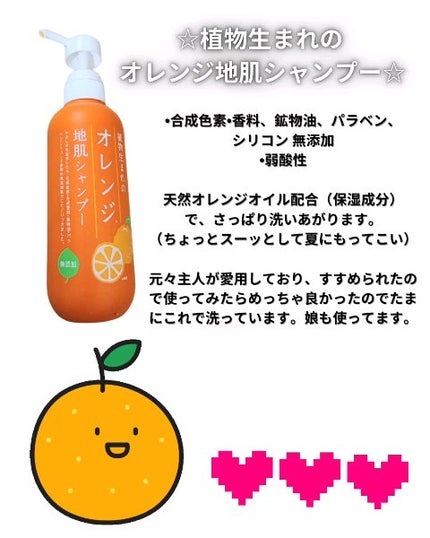 植物生まれのオレンジ地肌シャンプーS/オレンジ果汁トリートメントN/石澤研究所/市販シャンプーを使ったクチコミ(2枚目)